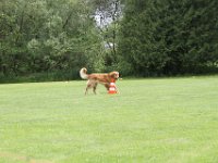 Bendix und das Boxband (87)